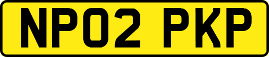 NP02PKP