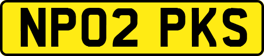 NP02PKS