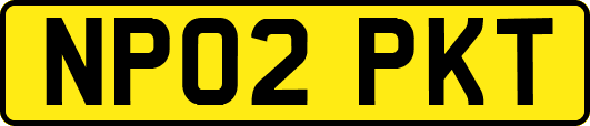 NP02PKT