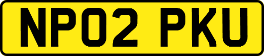 NP02PKU
