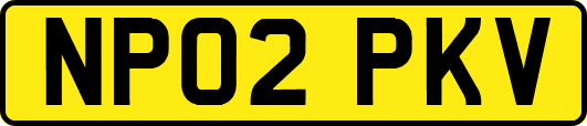 NP02PKV
