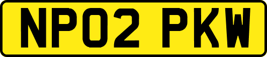 NP02PKW