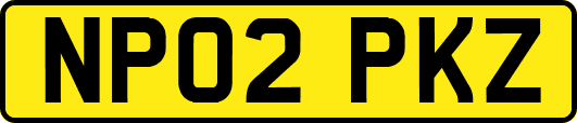 NP02PKZ