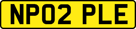 NP02PLE