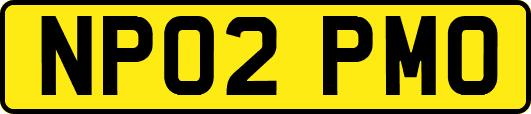 NP02PMO