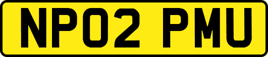 NP02PMU