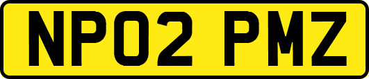 NP02PMZ