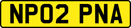 NP02PNA
