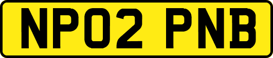 NP02PNB