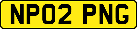 NP02PNG