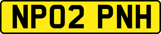 NP02PNH