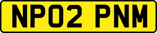 NP02PNM