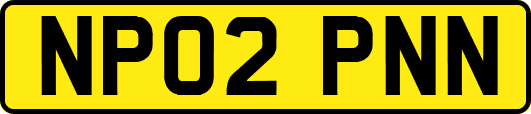 NP02PNN