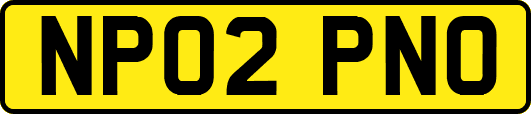 NP02PNO