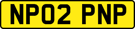 NP02PNP
