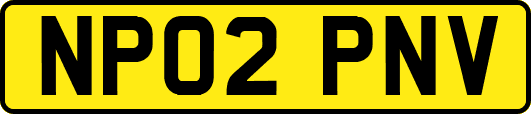 NP02PNV