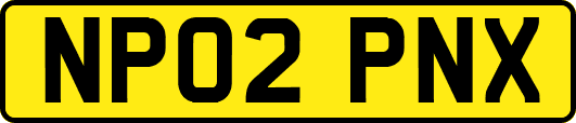 NP02PNX