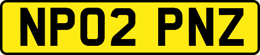 NP02PNZ
