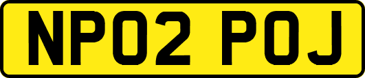 NP02POJ