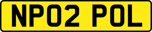 NP02POL