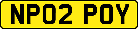 NP02POY