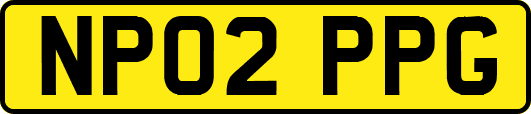 NP02PPG