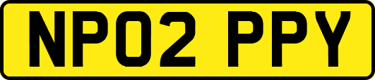 NP02PPY