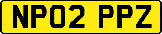 NP02PPZ