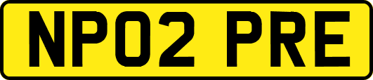 NP02PRE