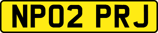 NP02PRJ