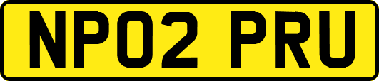 NP02PRU