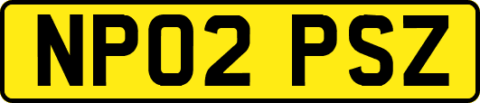 NP02PSZ