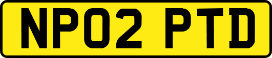 NP02PTD