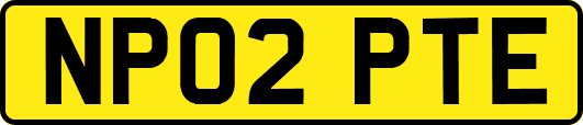 NP02PTE