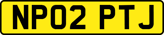 NP02PTJ