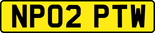 NP02PTW