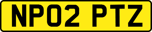 NP02PTZ