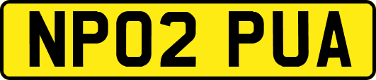NP02PUA