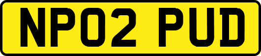 NP02PUD