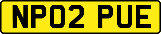NP02PUE
