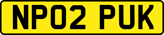 NP02PUK