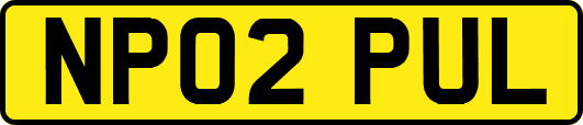 NP02PUL