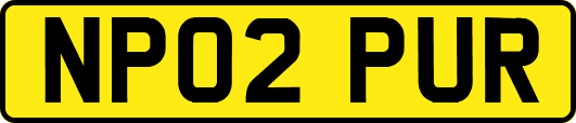 NP02PUR