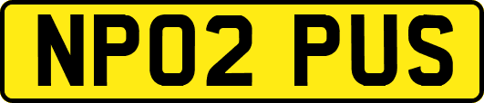 NP02PUS
