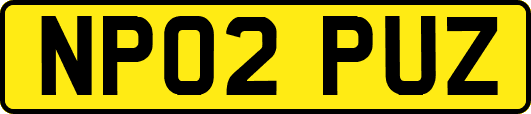 NP02PUZ