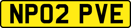 NP02PVE