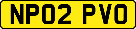 NP02PVO