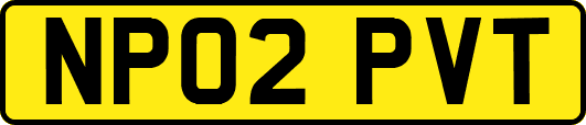 NP02PVT