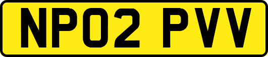 NP02PVV