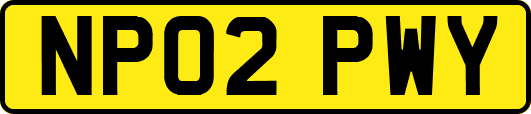NP02PWY